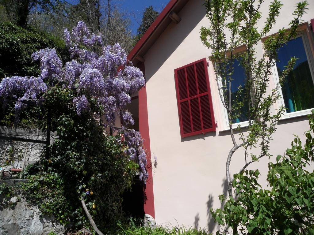 Chambres D'Hotes Casa Sylvana Saint-Dalmas-de-Tende Екстериор снимка