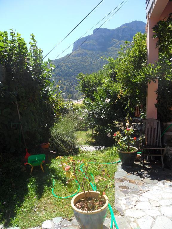 Chambres D'Hotes Casa Sylvana Saint-Dalmas-de-Tende Екстериор снимка